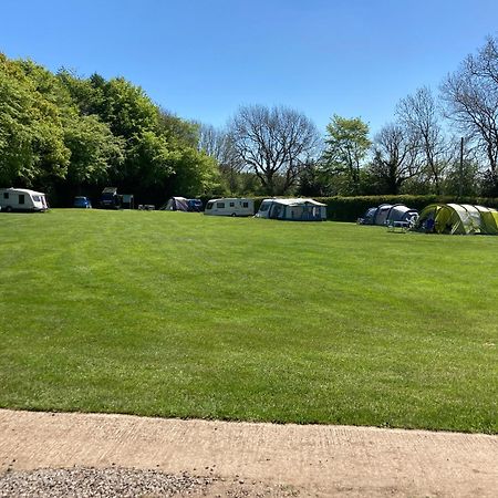 فندق Bank Top Camping-North York Moors With Pitches For Caravans, Camper Vans And Tents بيكرينغ المظهر الخارجي الصورة
