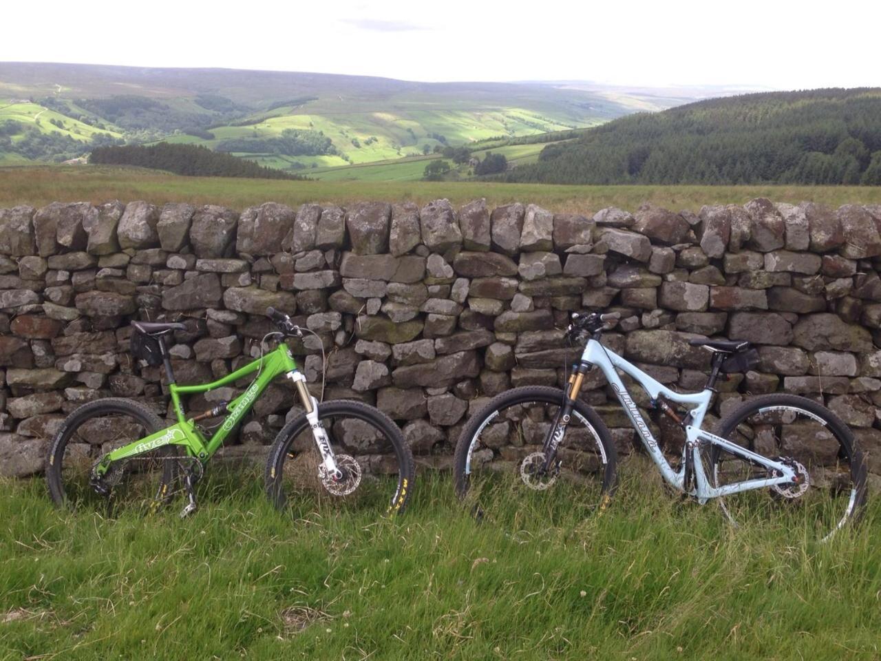 فندق Bank Top Camping-North York Moors With Pitches For Caravans, Camper Vans And Tents بيكرينغ المظهر الخارجي الصورة